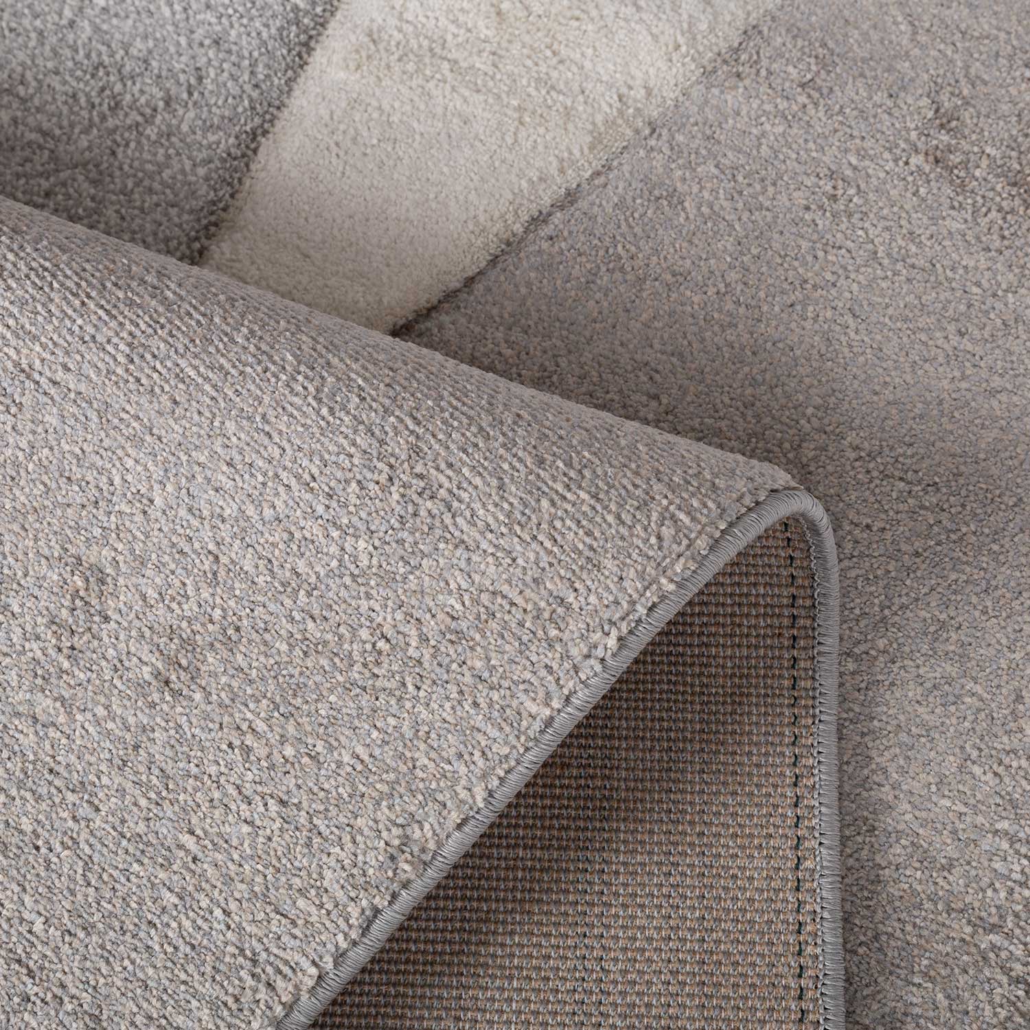 Vaip DIXIE CARVED-4, 160x230cm, hall/beež