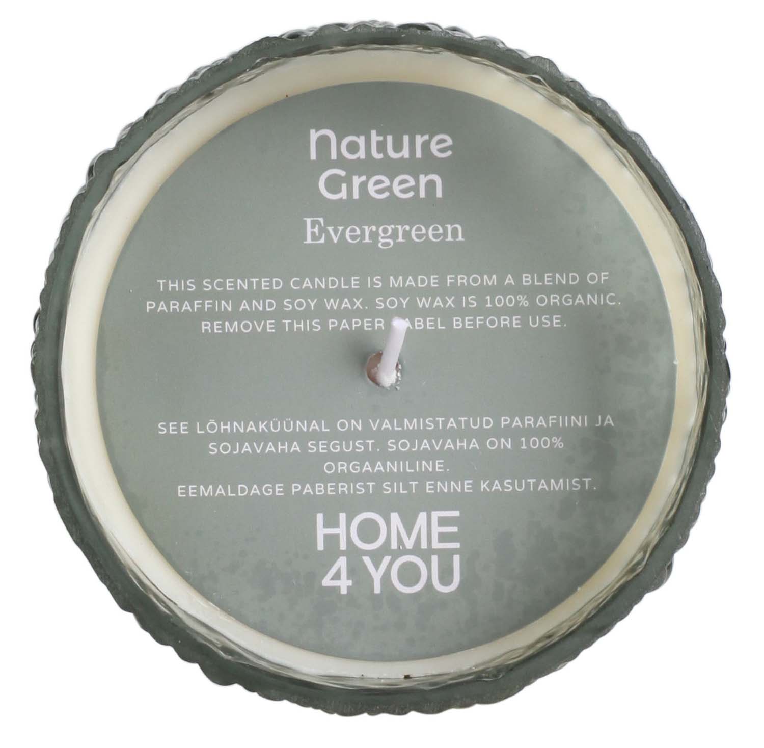 Lõhnaküünal klaasis NATURE GREEN H13cm, Evergreen - Pilt 2