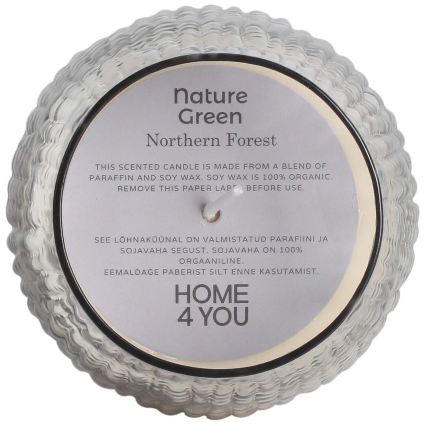 Lõhnaküünal klaasis NATURE GREEN H13,5cm, Northern Forest - Pilt 2
