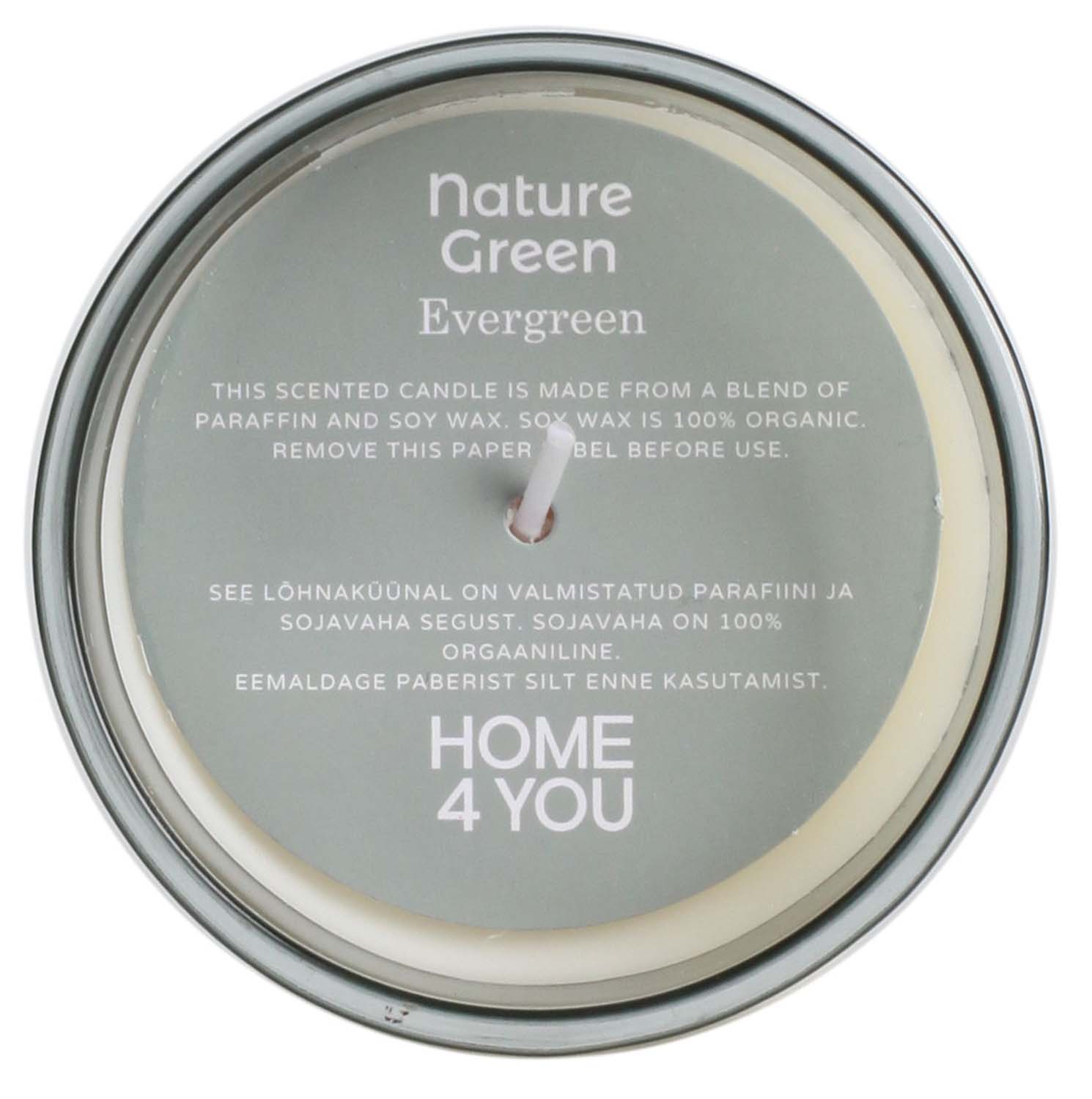 Lõhnaküünal klaasis NATURE GREEN H9,5cm, Evergreen - Pilt 2
