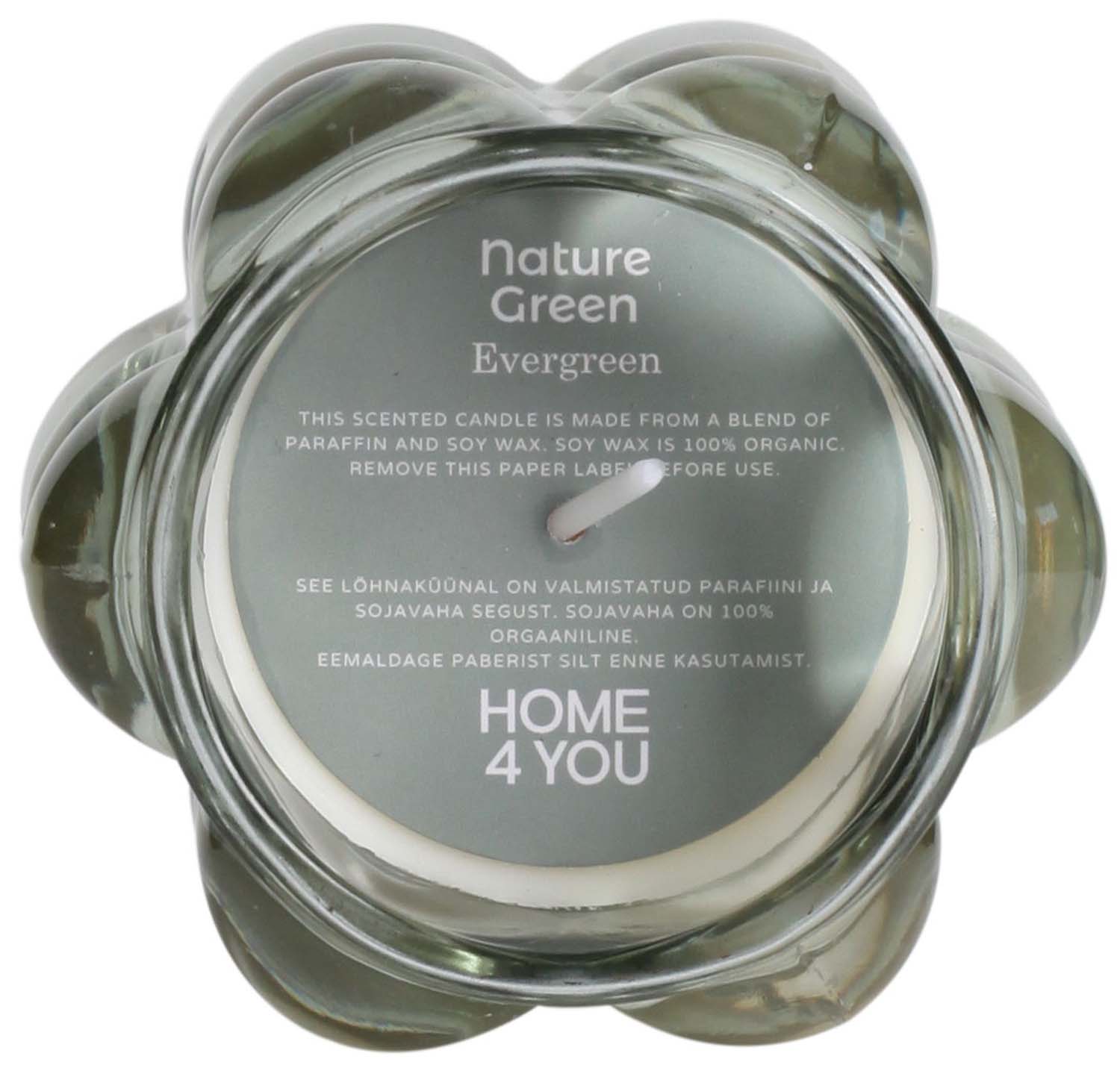 Lõhnaküünal klaasis NATURE GREEN H9,2cm, Evergreen - Pilt 2