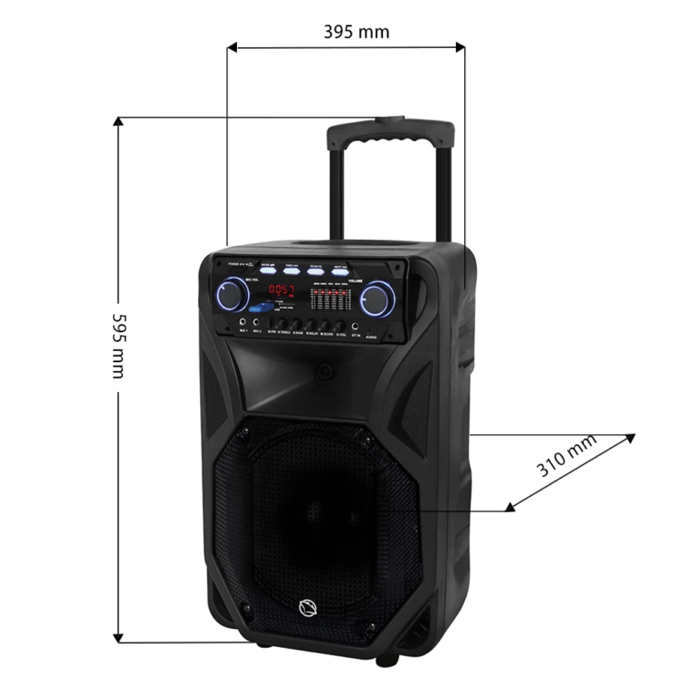 Muusikakeskus Manta SPK5021PRO - Pilt 2